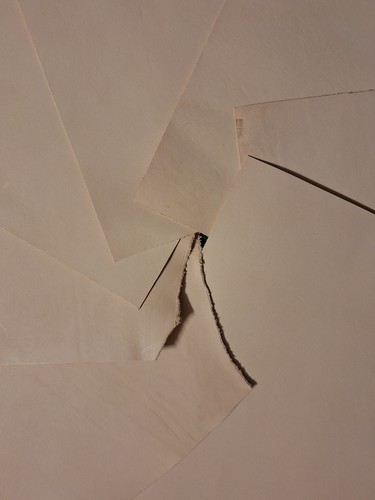 Blankleder natur vegetabil 2mm - blankleder,